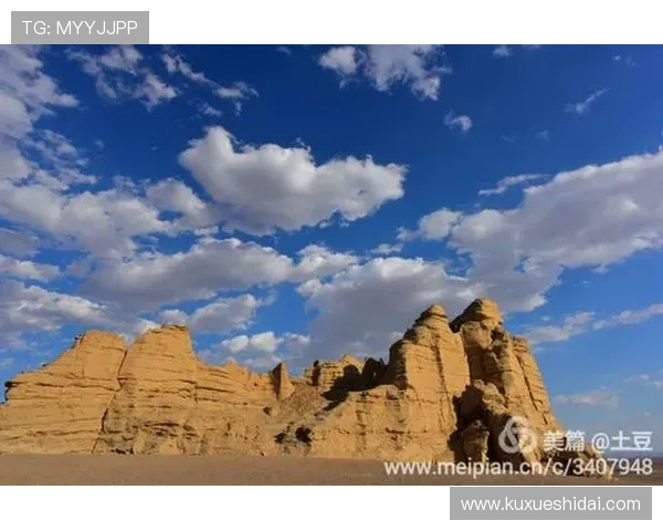 我的沧桑五十年：岁月斑驳，初心未改