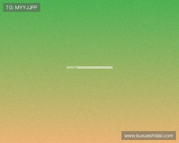 《SWAT》：不仅仅是动作，更是团队、信任与正义的生死较量